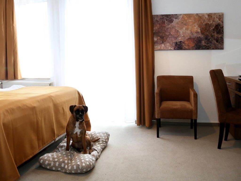 Arthotel Бад Пирмонт Екстериор снимка